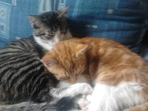 2013-09-16 15.01.19.jpg