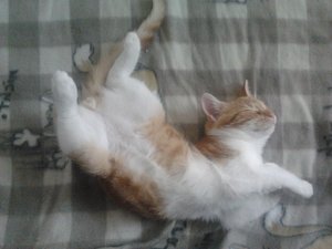 2013-09-16 17.59.48.jpg