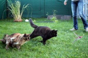 xxbeidelaufen (Large).JPG