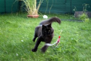 xxloverjagt (Large).JPG