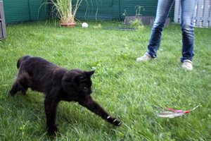 loverfängt (Large).JPG