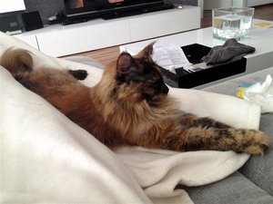 Loli ganz (Medium).JPG