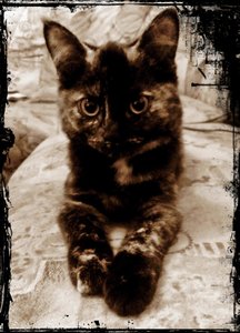 WP_20130109_023 (2).jpg