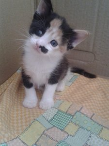 2013-06-17 09.45.20.jpg