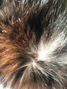 ImageUploadedByTapatalk 21380363219.541919.jpg