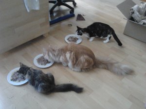 2013-09-28 08.54.05.jpg