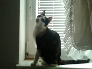 2013-09-25 15.54.40.jpg