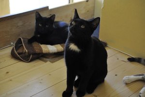 Kopie von Lou und Ginny.JPG