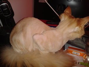 2013-10-05 12.19.50.jpg