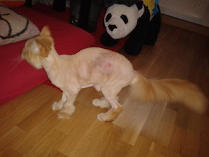 2013-10-04 17.15.31.jpg