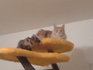 2013-10-05 19.54.25.jpg