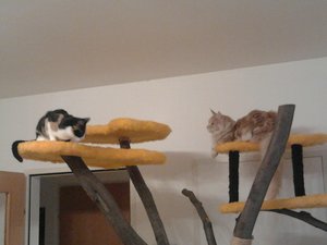 2013-10-06 09.08.44.jpg