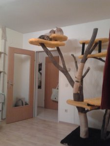 2013-10-05 19.54.41.jpg