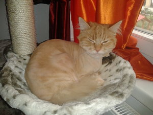 2013-10-07 12.43.26.jpg