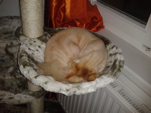 2013-10-05 21.43.22.jpg