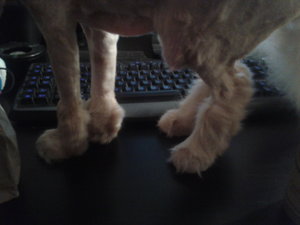 2013-10-08 18.07.28.jpg