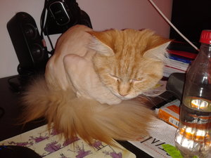 2013-10-05 12.18.59.jpg