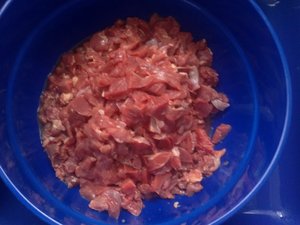 Lamm ohne Suppies.jpg