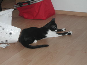 wo ist die Tüte.JPG