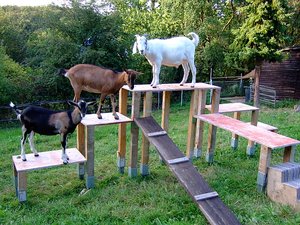 der neue Spielplatz.jpg