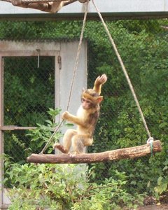 102_2356 - Kopie.JPG