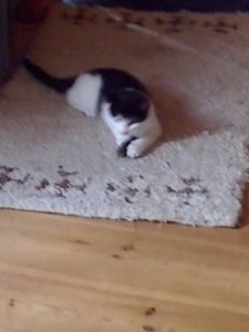 Mütze mit Maus 001.JPG