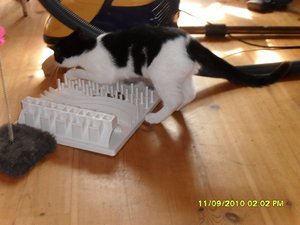 Mütze  auf der Pirsch 012.JPG