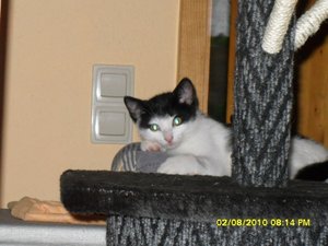 neue Mütze 2 083 [800x600].jpg