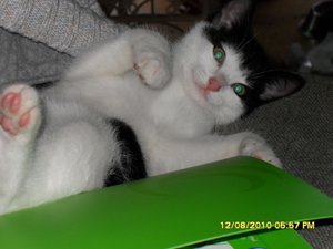 neue Mütze 2 105 [800x600].jpg