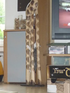 Snorri und Pepper (12 Wochen) 006.jpg