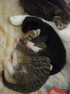 Jetzt sind wir eine Woche alt 063.jpg