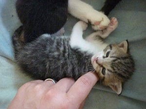 Hurra, wir sind schon 2 Wochen alt 006.jpg