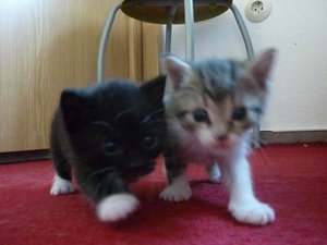 18.07.2010 3 Wochen 008.jpg