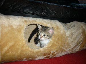 07.08.2010  (6 Wochen) 007.jpg