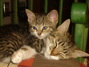 18.August 2010 010.jpg