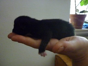 Babys erster Tag 051.jpg