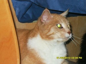 Bild 5 035 [800x600].jpg