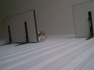 Teddy und Cid in Action 2.jpg