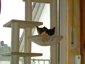 DSCF2081.JPG DSCF2081.JPG