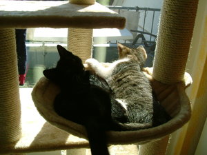 Sonne is ja sooo schön.JPG Sonne is ja sooo schön.JPG