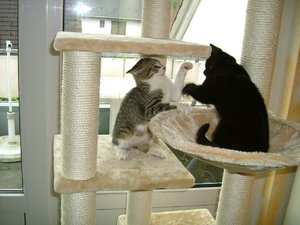 Tag2 (6).JPG Tag2 (6).JPG