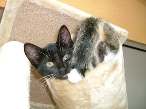 Tag2 (12).JPG Tag2 (12).JPG