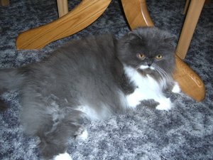 völlig fertig ..... einfach zu heiss 038.jpg