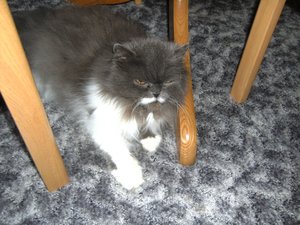 völlig fertig ..... einfach zu heiss 036.jpg