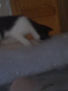 Mütze der Schaumschläger 009.JPG