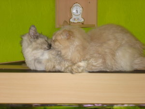 richie19wochen,april im garten 017.jpg