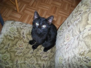 alle kleinen 005.jpg