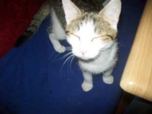 alle kleinen 007.JPG