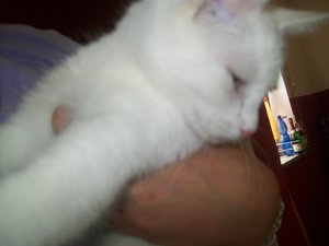 alle kleinen 016.jpg