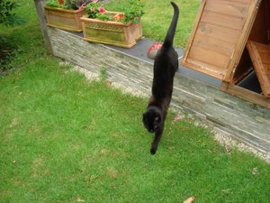 fotoleermachen 110.jpg